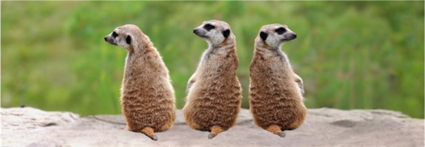 Crossed wires? 8 tips for tackling communication roadblocks